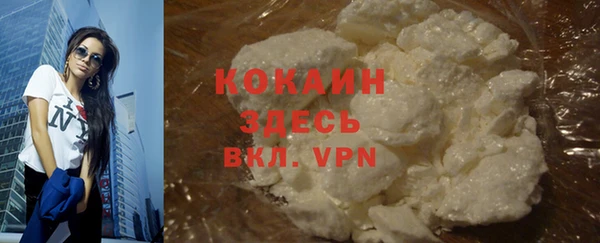 шишки Кукмор