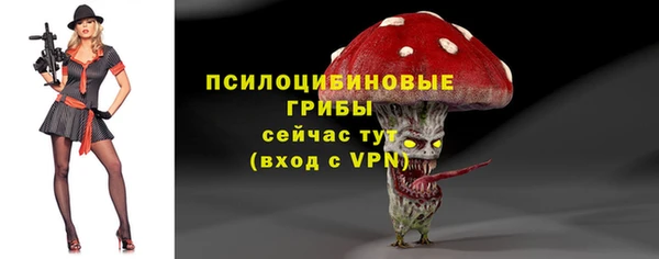 шишки Кукмор