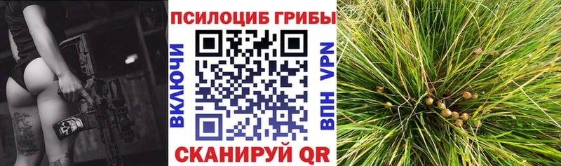 купить наркоту  Чулым  Псилоцибиновые грибы ЛСД 